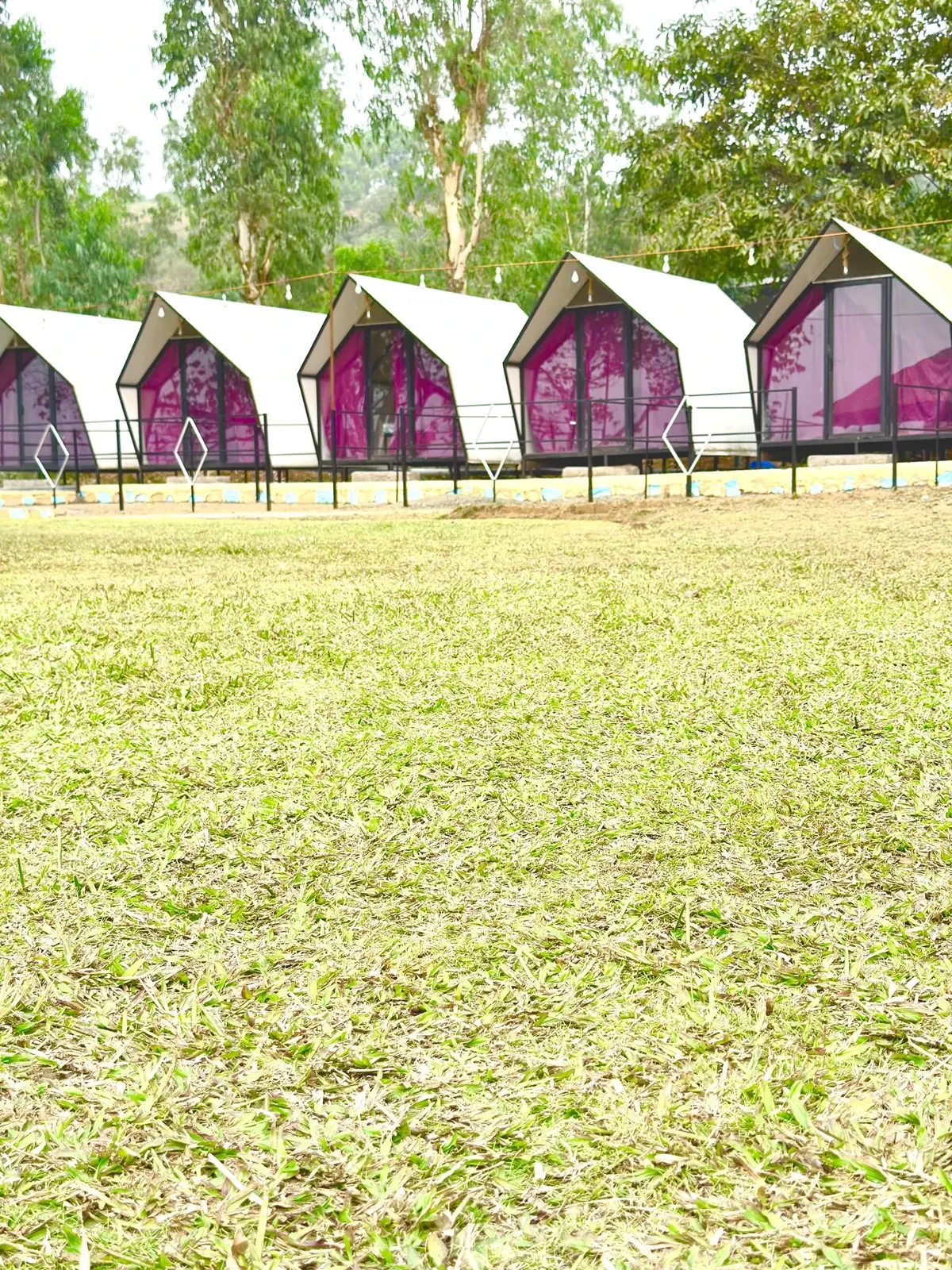 Open campsite lawn with cottage tents